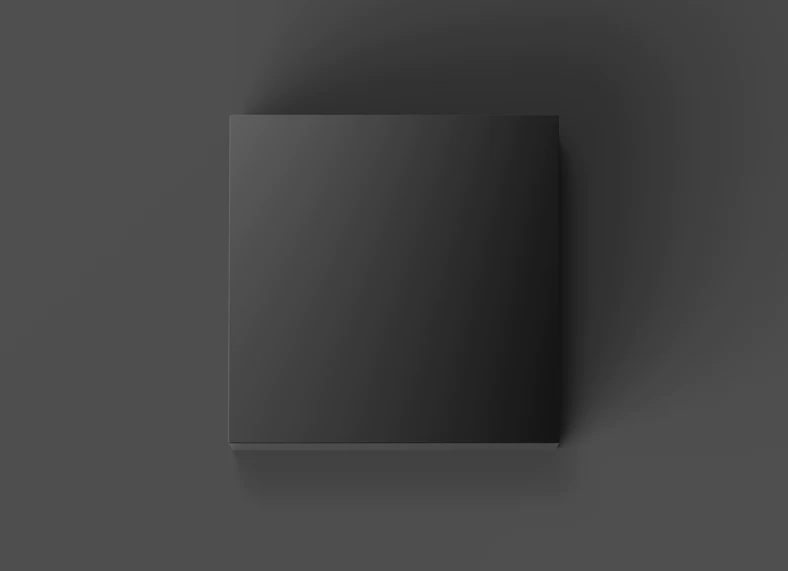 定子