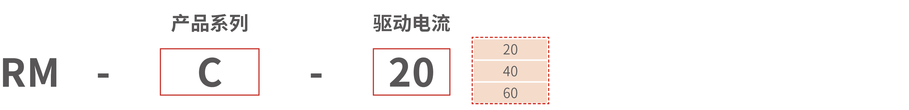 RM-C 驱控一体控制器 型号说明
